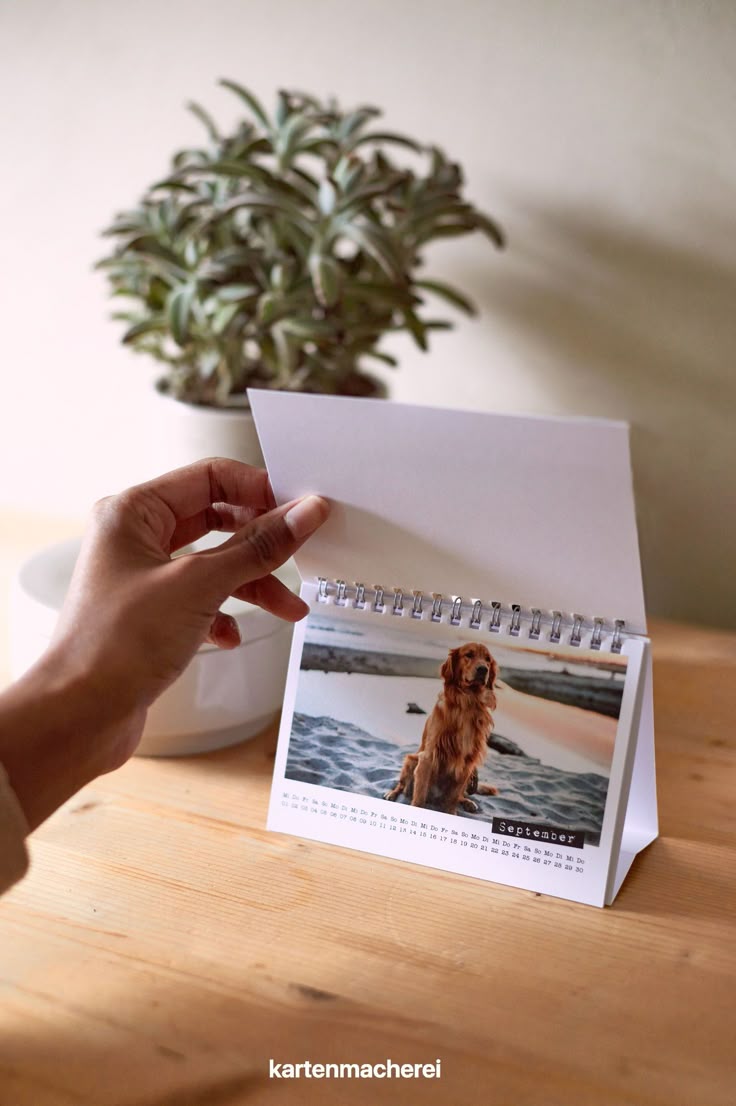 Almanaque Personalizados